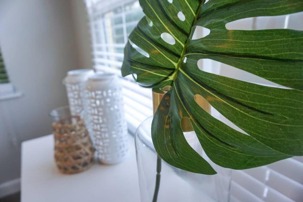 The Beach House At Seascape Steps From The Beach, Marina And Shops! West Palm Beach Zewnętrze zdjęcie